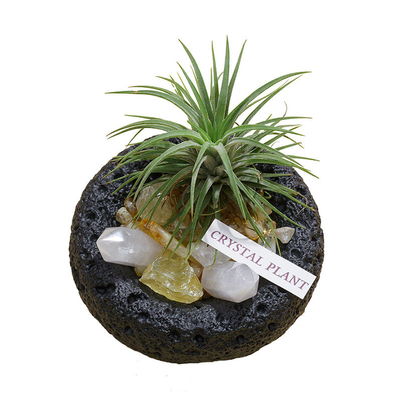 🌿✨ [Natural Crystal Aromatherapy Diffuser Stone Set] - Energy, fragrance, vitality, a trinity of healing aesthetics