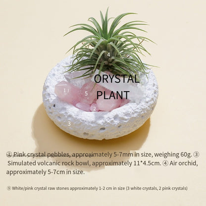 🌿✨ [Natural Crystal Aromatherapy Diffuser Stone Set] - Energy, fragrance, vitality, a trinity of healing aesthetics