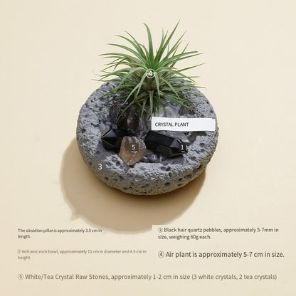 🌿✨ [Natural Crystal Aromatherapy Diffuser Stone Set] - Energy, fragrance, vitality, a trinity of healing aesthetics