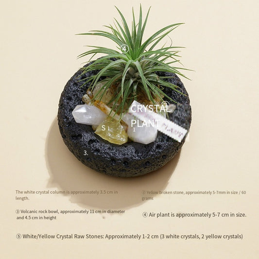 🌿✨ [Natural Crystal Aromatherapy Diffuser Stone Set] - Energy, fragrance, vitality, a trinity of healing aesthetics